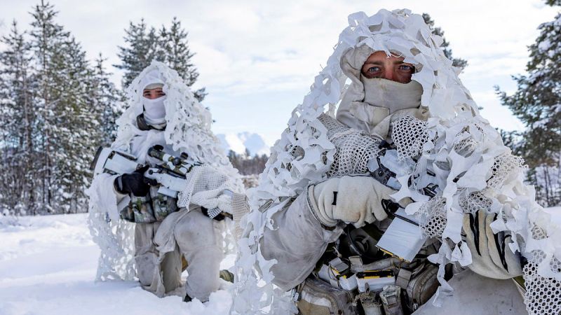 Picture of British and Dutch marines 'drop in to' Exercise Joint Viking